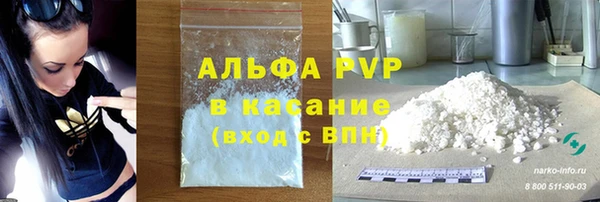 прущие грибы Михайлов