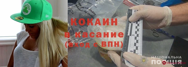 прущие грибы Михайлов