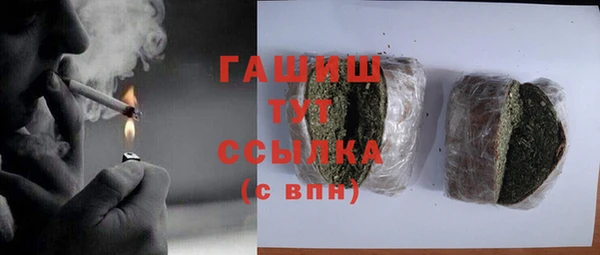 прущие грибы Михайлов