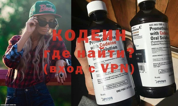 прущие грибы Михайлов