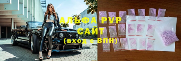 прущие грибы Михайлов