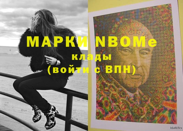 прущие грибы Михайлов